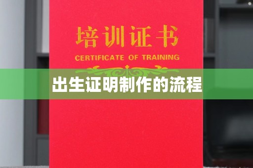 环江出生证明制作的流程