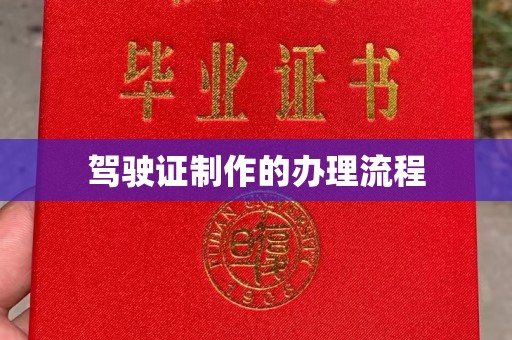 环江驾驶证制作的办理流程