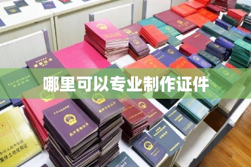 环江哪里可以专业制作证件