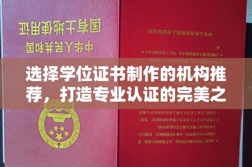 环江选择学位证书制作的机构推荐，打造专业认证的完美之选