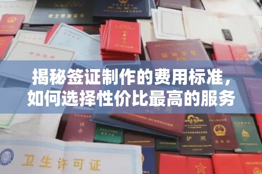 环江揭秘签证制作的费用标准，如何选择性价比最高的服务？