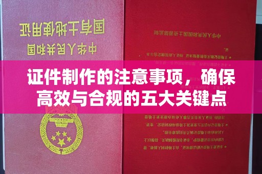 环江证件制作的注意事项，确保高效与合规的五大关键点