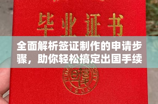 环江全面解析签证制作的申请步骤，助你轻松搞定出国手续