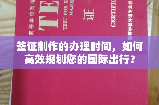 环江签证制作的办理时间，如何高效规划您的国际出行？