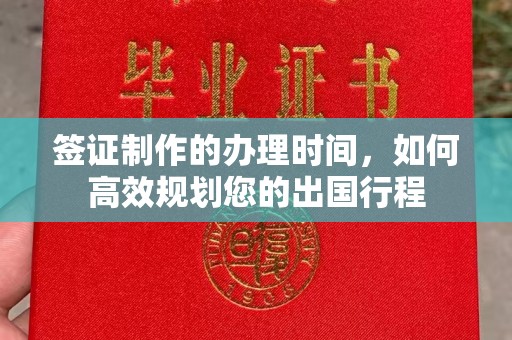 环江签证制作的办理时间，如何高效规划您的出国行程