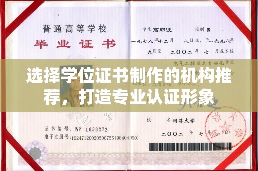 环江选择学位证书制作的机构推荐，打造专业认证形象