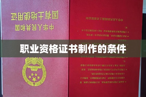 环江职业资格证书制作的条件