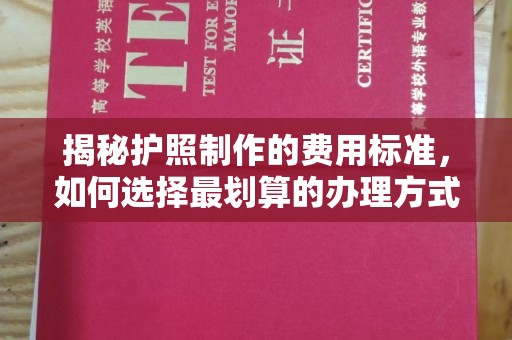 环江揭秘护照制作的费用标准，如何选择最划算的办理方式？