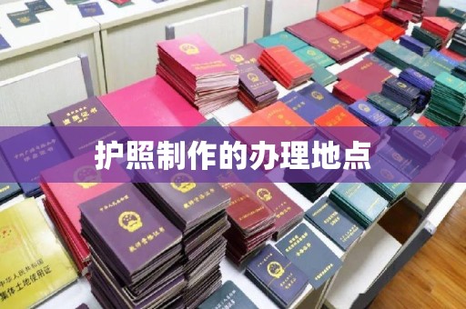 环江护照制作的办理地点