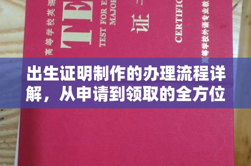 环江出生证明制作的办理流程详解，从申请到领取的全方位指南