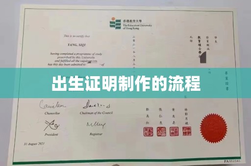 环江出生证明制作的流程