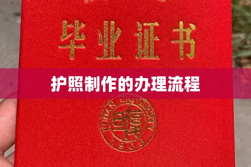 环江护照制作的办理流程
